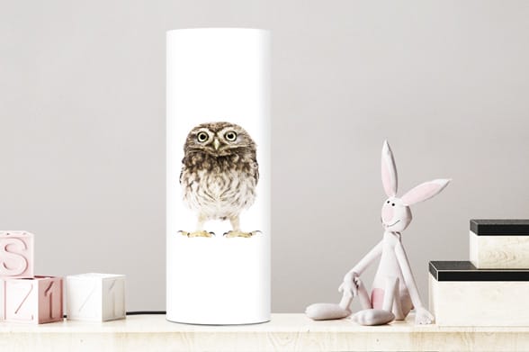 Lamp little owl
